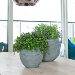 Abby Ball Plant Pot - Ridged Dark Grey 15 Abby Ball Plant Pot - Ridged Dark Grey -Hortology Shop Abby Plant Pot Dark Grey Peperomia Houseplant