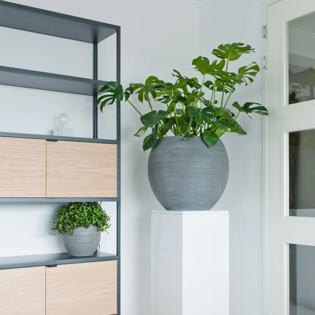 Abby Ball Plant Pot - Ridged Dark Grey 7 Abby Ball Plant Pot - Ridged Dark Grey - Image 7