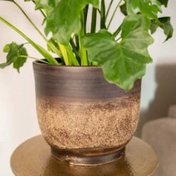 Aico Plant Pot - Shiny Brown -Hortology Shop Aico shiny brown 02