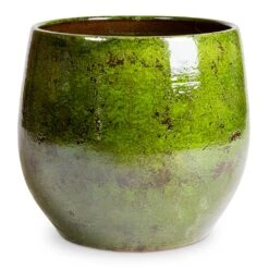 Aimee Plant Pot - Pear -Hortology Shop Aimee Plant Pot Pear 38x34cm