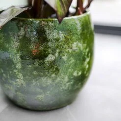 Aimee Plant Pot - Pear -Hortology Shop Aimee Plant Pot Pear Banana Plant