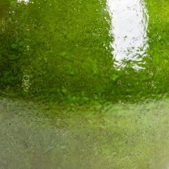 Aimee Plant Pot - Pear -Hortology Shop Aimee Plant Pot Pear SWATCH2