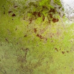 Aimee Plant Pot - Pear -Hortology Shop Aimee Plant Pot Pear SWATCH3