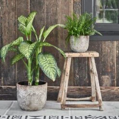 Albero Plant Pot - Cement -Hortology Shop Albero Plant Pot Cement 28 x 26cm