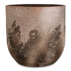 Albero Plant Pot - Cement -Hortology Shop Albero Plant Pot Cement 28x26cm 28706681 8e92 439f a7a0 1542d380a061