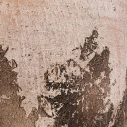 Albero Plant Pot - Cement -Hortology Shop Albero Plant Pot Cement DETAIL