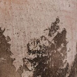 Albero Plant Pot - Cement -Hortology Shop Albero Plant Pot Cement DETAIL d465160c 8621 4f6c 825c 263e6430a47d