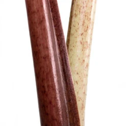 Alocasia Yucatan Princess - Elephant Ear -Hortology Shop Alocasia Yucatan Princess Elephant Ear Close Up 002