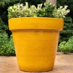 Ashley Planter - Honey -Hortology Shop Ashley Planter Honey Lifestyle 02