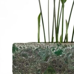 Lava Cube Relic Planter - Jade -Hortology Shop Aspidistra Cast Iron Plant Lava Cube Relic Planter Jade Close Up