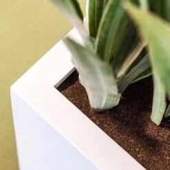 Balcony Planter - Matt White 8 Balcony Planter - Matt White -Hortology Shop Balcony Planter Matt White Close Up