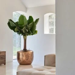 Opus Raw Couple Planter - Gold -Hortology Shop Baq Opus Raw Couple Gold 2