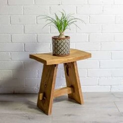 Beaucarnea - Pony Tail Palm - Orb -Hortology Shop Beaucarnea Pony Tail Palm Orb liam grey plant pot natural 75c4d917 b2bf 49b7 be25 2fc18a3f2ba9