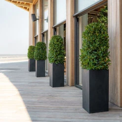 Bouvy Natural Planter - Black -Hortology Shop Bouvy Natural Planter Black Lifestyle 3