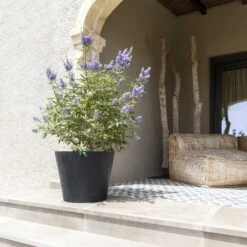 Bucket Natural Planter - Black -Hortology Shop Bucket Natural Planter Black 3