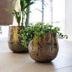 Calvin Metal Plant Pots - Set Of 3 - Matt Gold -Hortology Shop Calvin Metal Plant Pots Set of 3 Matt Gold 2