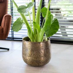 Calvin Metal Plant Pots - Set Of 3 - Matt Gold -Hortology Shop Calvin Metal Plant Pots Set of 3 Matt Gold 4
