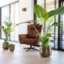 Calvin Metal Plant Pots - Set Of 3 - Matt Gold -Hortology Shop Calvin Metal Plant Pots Set of 3 Matt Gold 6