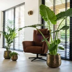 Calvin Metal Plant Pots - Set Of 3 - Matt Gold -Hortology Shop Calvin Metal Plant Pots Set of 3 Matt Gold 7