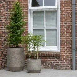 Harith Cement & Stone Plant Pot - Granite Grey -Hortology Shop Cement Stone Harith Plant Pot lifestyle