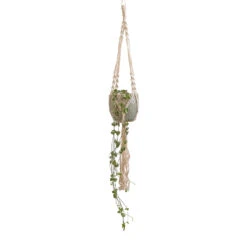 Macrame Hanging Plant Pot -Hortology Shop Ceropegia woodii String of Hearts 10x20cm Macrame Hanging Plant Pot 12x10cm 2 5060628a 2d2e 4eae 852d 2589e83c0a60