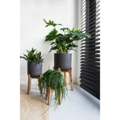 Charlie Plant Pot - Tall Stand - Black Washed 10 Charlie Plant Pot - Tall Stand - Black Washed -Hortology Shop Charlie Plant Pot Tall Stand Black Washed Lifestyle 02