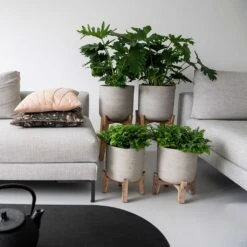 Charlie Plant Pot - Low Stand - Grey Washed 9 Charlie Plant Pot - Low Stand - Grey Washed -Hortology Shop Charlie Plant Pot Tall Stand Grey Washed Lifestyle 02 9225be9f 92ff 40ce 8bec 1627a363928b