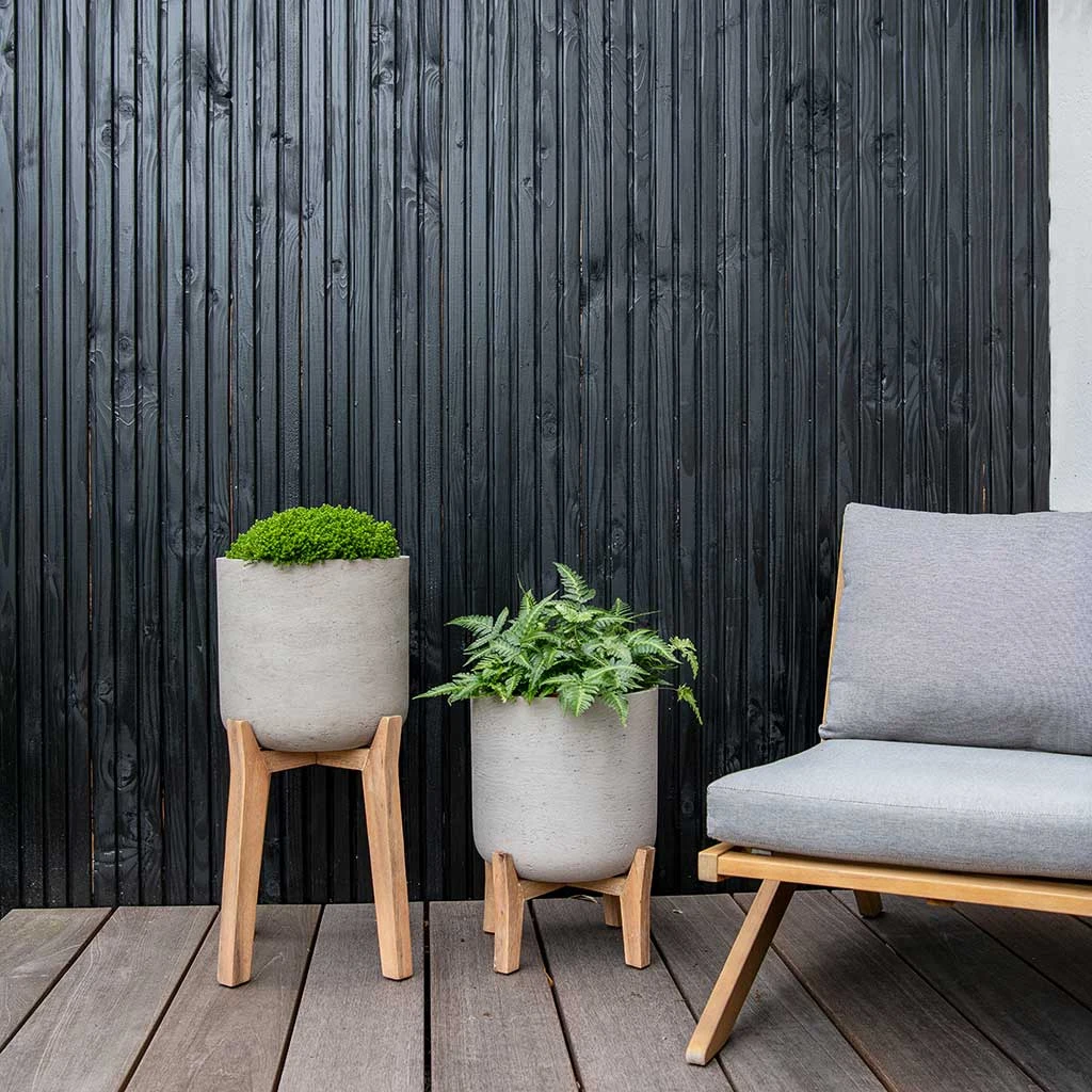 Charlie Plant Pot - Low Stand - Grey Washed 2 Charlie Plant Pot - Low Stand - Grey Washed - Image 2