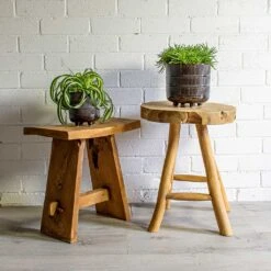 Chlorophytum Bonnie - Curly Spider Plant -Hortology Shop Chlorophytum Bonnie Curly Spider Plant Senecio Himalaya Himalaya Groundsel Denise Plant Pot Blue Bronze 9820570b 671f 4573 872a fe253f0dd6da