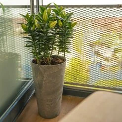 Claire Artstone Tall Planter - Grey 8 Claire Artstone Tall Planter - Grey -Hortology Shop Claire Artstone Tall Planter Grey 4