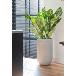 Cody Plant Vase - Ridged Cement -Hortology Shop Cody Plant Vase Ridged Cement Dieffenbachia