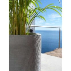 Cody Plant Vase - Ridged Dark Grey -Hortology Shop Cody Tall Planter Ridged Dark Grey Areca Palm