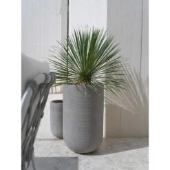 Cody Plant Vase - Ridged Dark Grey -Hortology Shop Cody Tall Planter Ridged Dark Outdoor Palm