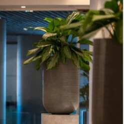 Cody Plant Vase - Ridged Dark Grey -Hortology Shop CodyPlantVase RidgedDarkGrey 6