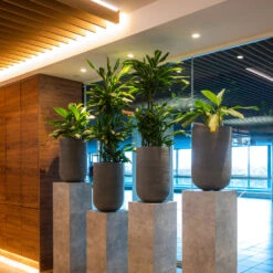 Cody Plant Vase - Ridged Dark Grey -Hortology Shop CodyPlantVase RidgedDarkGrey 8