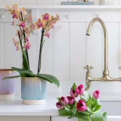 Copenhagen Plant Pot - Aqua -Hortology Shop Copenhagen Plant Pot Aqua 15.5 x 16cm