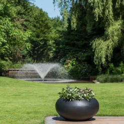 Cora Natural Bowl Planter - Black -Hortology Shop CoraNaturalBowlPlanter Black 2