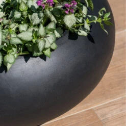 Cora Natural Bowl Planter - Black -Hortology Shop CoraNaturalBowlPlanter Black 4