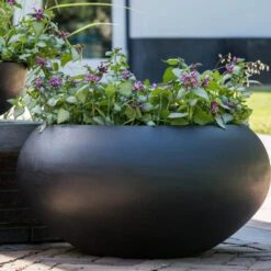 Cora Natural Bowl Planter - Black -Hortology Shop CoraNaturalBowlPlanter Black 5
