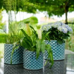Dion Planters - Set Of 3 - Ocean Blue -Hortology Shop Dion Planters Set3 Ocean Blue Outdoor Plants