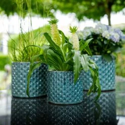 Dion Planters - Set Of 3 - Ocean Blue -Hortology Shop Dion Planters Set3 Ocean Blue Plants