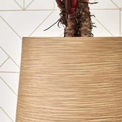 Dune Partner Planter - Almond -Hortology Shop Dune Partner Planter Almond Close Up 1