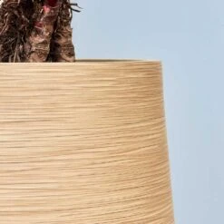 Dune Partner Planter - Almond -Hortology Shop Dune Partner Planter Almond Close Up 2 jpg