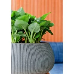 Eileen Plant Bowl - Ridged Dark Grey -Hortology Shop Eileen Planter Ridged Dark Grey Texture