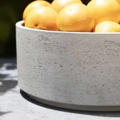 Eli Plant Bowl - Grey Washed -Hortology Shop Eli Plant Bowl Grey Washed Fruit