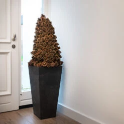 Ella Artstone Tall Planter - Black -Hortology Shop Ella Artstone Tall Planter Black 1