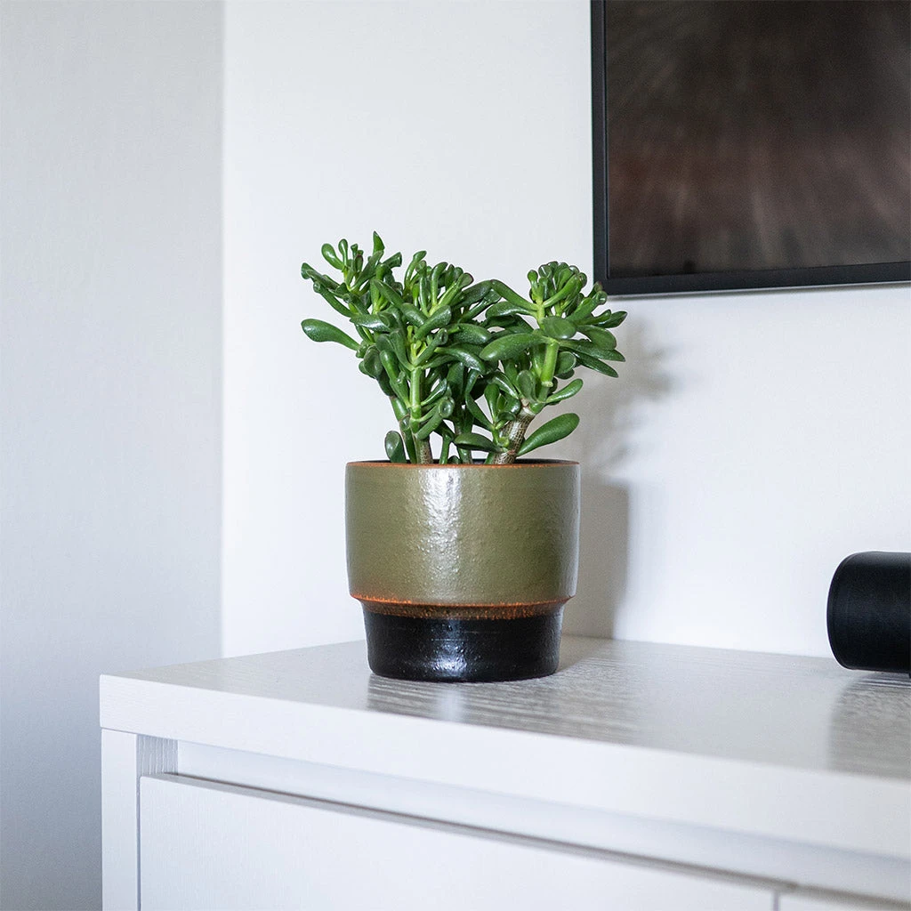 Erik Plant Pot - Dark Olive 2 Erik Plant Pot - Dark Olive - Image 2