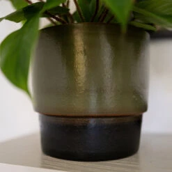 Erik Plant Pot - Dark Olive 16 Erik Plant Pot - Dark Olive -Hortology Shop Erik Olive 4