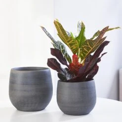 Esra Plant Pot - Graphite -Hortology Shop Esra graphite Lifestyle 1