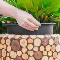 Facets Couple Planter - Ageless -Hortology Shop Facets Couple Planter Ageless 1